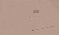 Animation GIF