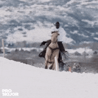 proskijor skiing snowboarding wintersports skijoring GIF