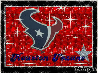 texans GIF