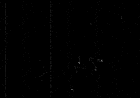 Film Tuning GIF by Club do Auto