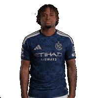 Mls Smh Sticker by New York City FC