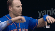 Happy Ny Mets GIF by New York Mets