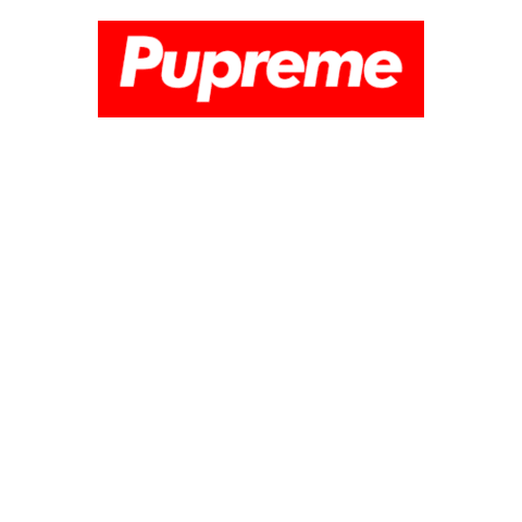 freshpawz dog puppy hype streetwear Sticker