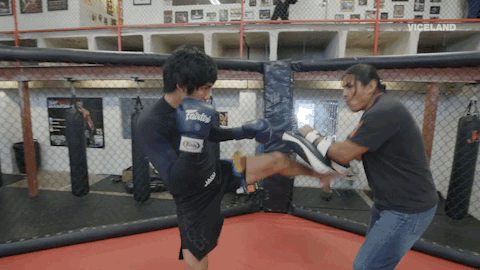 viceland GIF by RISE