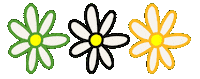 Kaid Flower Sticker by KAID
