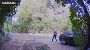 Ben Knock GIF by Dead Meat James