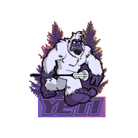 Lacrosse Sticker by Yeti Stick Company