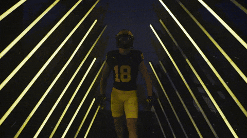 Go Blue Michigan Football GIF by Michigan Athletics