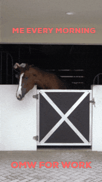 On My Way Work GIF by Eye Candy Jumpers