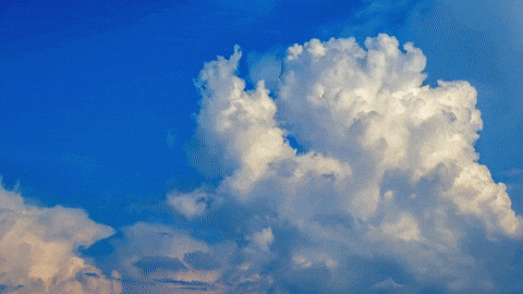 katyramm giphyupload GIF