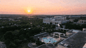 Pool Sunset GIF by University of South Carolina