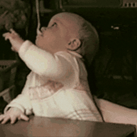 aleoxth giphygifmaker GIF