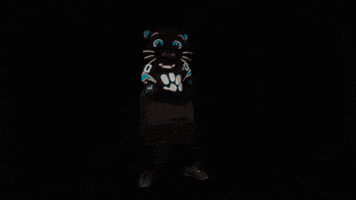 Sir Purr GIF by Carolina Panthers
