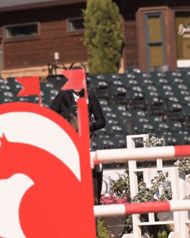 Showjumping