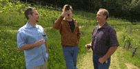 teamcoco wine conan obrien san francisco wine tasting GIF