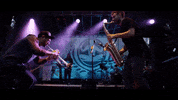 music festival dance GIF by Verticals Agency