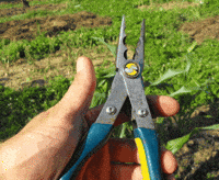 chain GIF