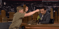 GIF by The Tonight Show Starring Jimmy Fallon