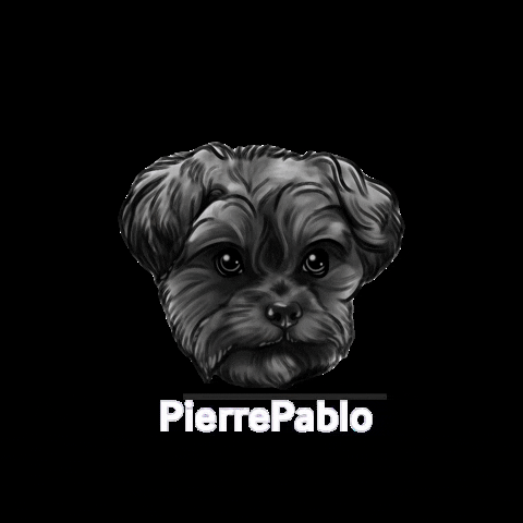 PierrePablo pet shampoo dogshampoo pierrepablo GIF