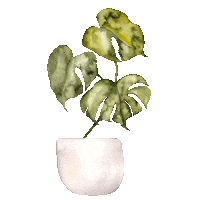 Plant Sticker by Veryvany