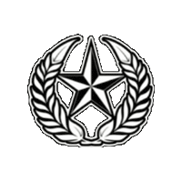 Kingstar Sticker