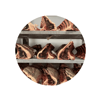 Beef Ribs Steak Sticker by Aubrey Allen