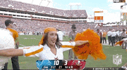 National Football League GIF by NFL