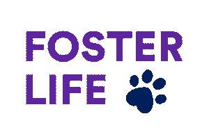Petco Foundation Foster Sticker by Petco Love