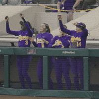 Happy Lets Go GIF by LSU Tigers