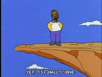 homer simpson GIF