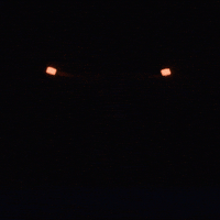 Dance Art GIF by soy.ede