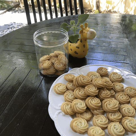 melodyseah giphyupload GIF