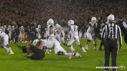 Iowa State Rose GIF by CyclonesTV