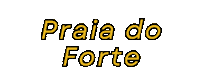 Praia Do Forte Beach Sticker by GIFS DA CRIS