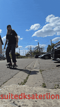 Lion Skating GIF