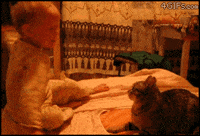 slap slapping GIF