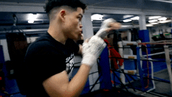 Boxing GIF
