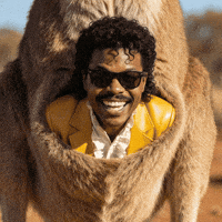 Down Under Wtf GIF by Jukebox Saints