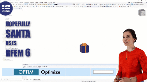 Christmas Present GIF by Dlubal Software