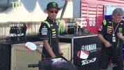 motor sports dance GIF by MotoGP