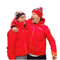 sweden norway Sticker by Helt Ramm