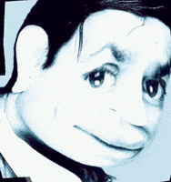 What The Hell Wtf GIF