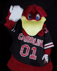 Mascot Rally GIF by University of South Carolina