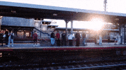 Koyo GIF by Pure Noise Records