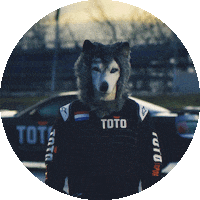 Formula 1 Sport Sticker by Toto