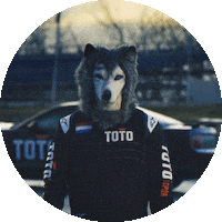 Formula 1 Sport Sticker by Toto