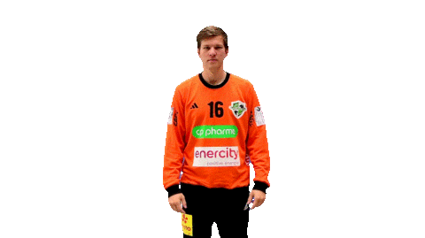 Sport Handball Sticker by DIE RECKEN