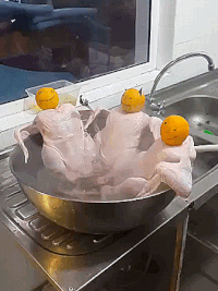 night boys GIF