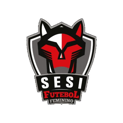 Futebolfeminino Sticker by Sesi Esporte