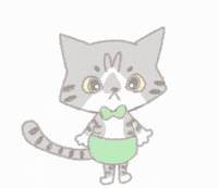 noryco cat gato store loja GIF